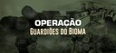 Governo Federal inicia Operação Guardiões do Bioma com foco no combate ao desmatamento ilegal na Amazônia.jpeg