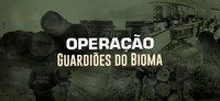 Governo Federal inicia Operação Guardiões do Bioma com foco no combate ao desmatamento ilegal na Amazônia