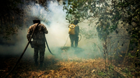 Governo federal envia Força Nacional de Segurança Pública para auxiliar no combate aos incêndios no Mato Grosso do Sul