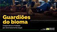 Guardiões do Bioma: Cooperativa é multada em R$ 2,7 milhões por desmatamento ilegal e outros ilícitos ambientais no PA