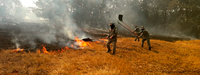 Ministério da Justiça e Segurança Pública reforça envio de bombeiros militares para combate aos incêndios no Mato Grosso do Sul