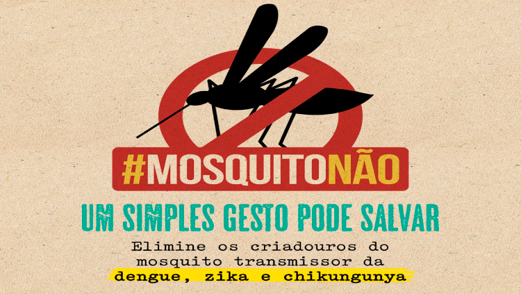 Mosquito Aedes