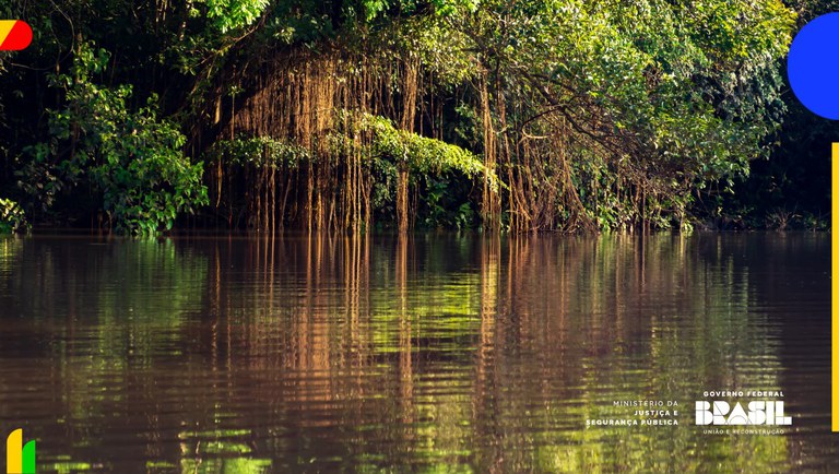 amazonia.jfif