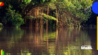MJSP reabre prazo de chamamento para publicação no Dossiê Temático “Amazônia: Segurança e Soberania” na Revista Susp