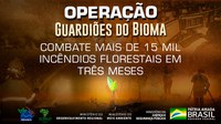 Operação Guardiões do Bioma combate mais de 15 mil incêndios florestais em três meses