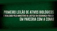 Primeiro leilão de ativos biológicos é realizado pelo Ministério da Justiça e Segurança Pública em parceria com a Conab