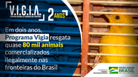 Programa VIGIA resgata quase 80 mil animais comercializados ilegalmente nas fronteiras do Brasil