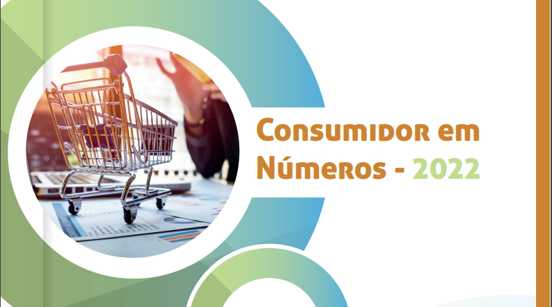 Consumidor em Números 2022