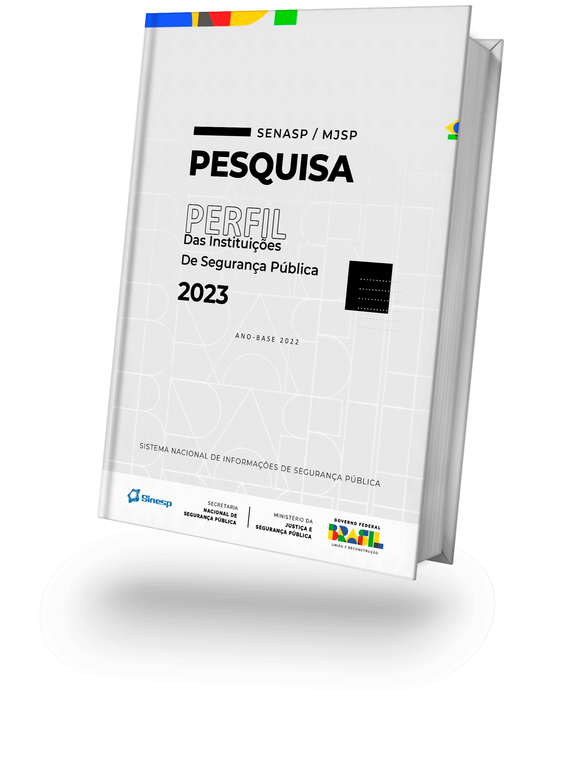 Pesquisa perfil das instituições de Segurança Publica