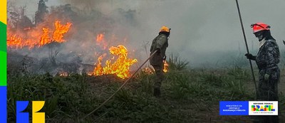 Força Nacional será enviada ao MS para combater incêndios florestais no Pantanal