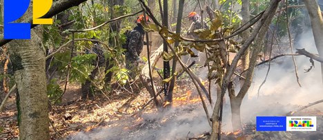 Custeio das forças de segurança para combate a incêndios no Brasil aumenta 400%