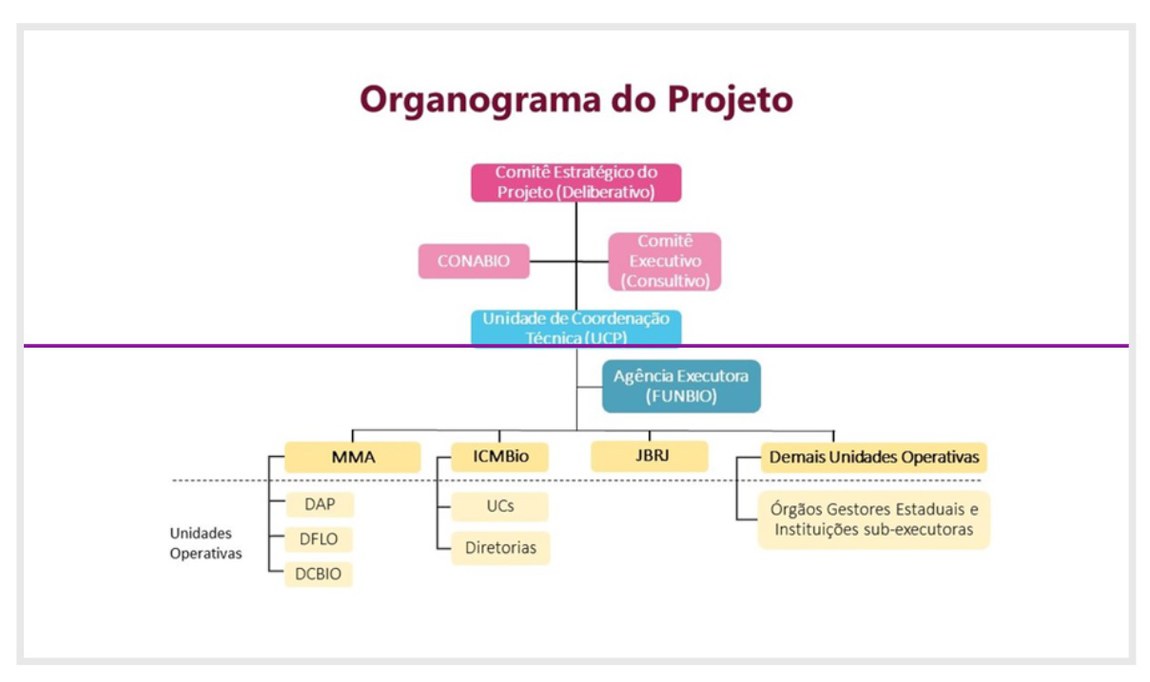 Organograma do Projeto