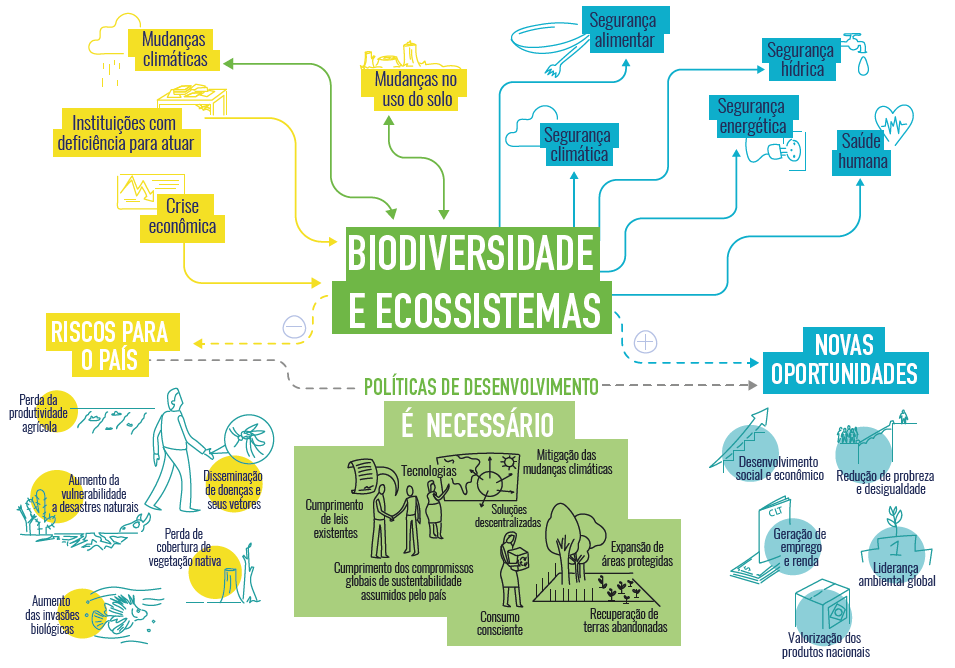 infográfico