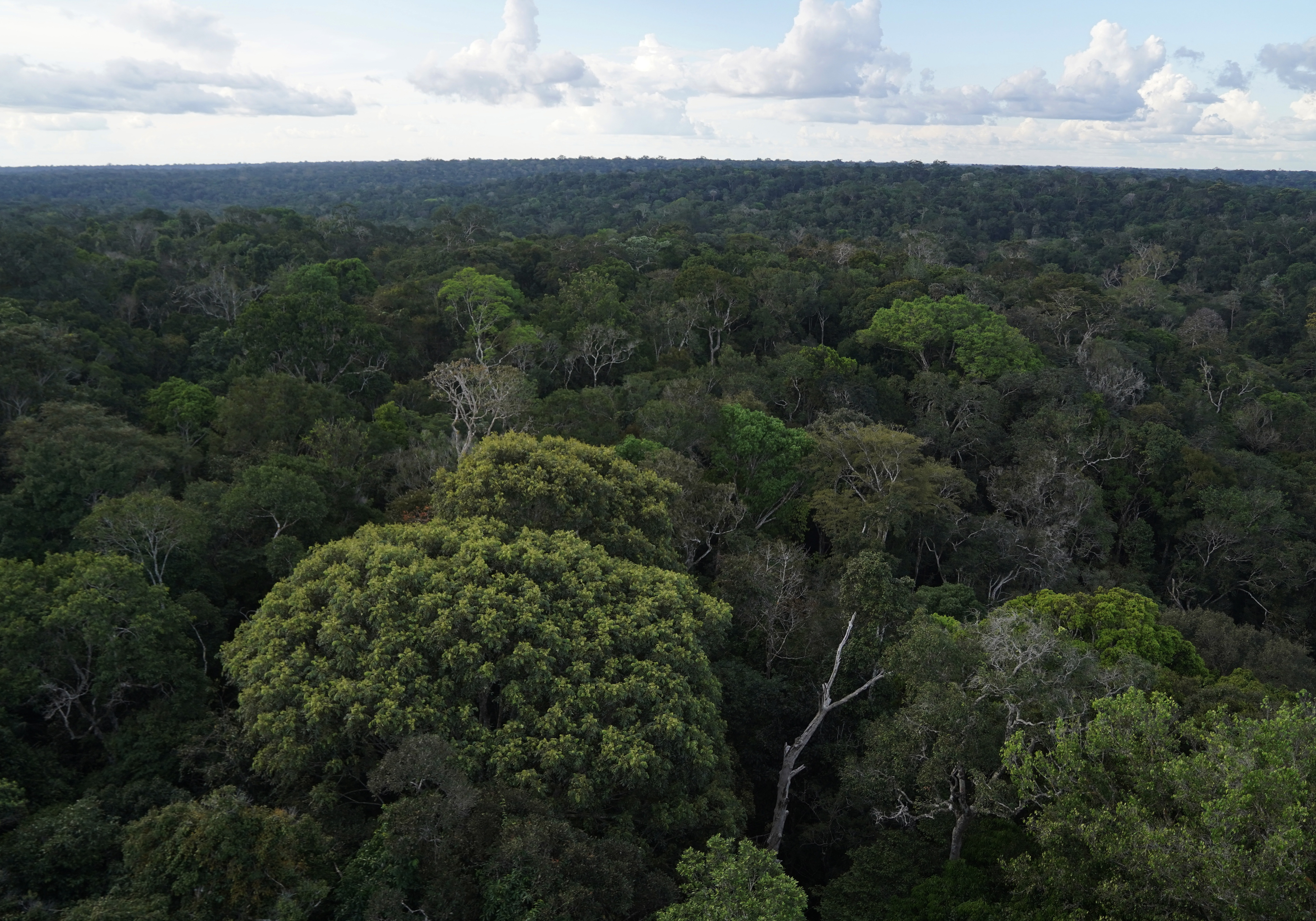 Área sob alertas de desmatamento caiu 10,6% em relação a agosto de 2023; no Cerrado, houve queda de 12%