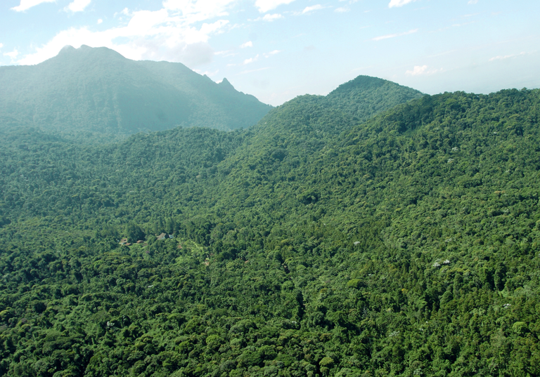 Parque Nacional de Itatiaia, nos estados do Rio de Janeiro e de Minas Gerais. Foto: MMA