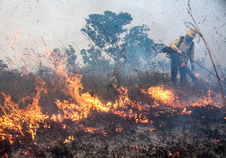 Brigadistas do Prevfogo/Ibama e ICMBio combatem incêndios florestais na Terra Indígena Tenharim/Marmelos, no Amazonas. Foto: Mayangdi Inzaulgarat/Ibama