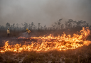 Brigadistas do Prevfogo/Ibama e ICMBio combatem incêndios florestais na Terra Indígena Tenharim/Marmelos, no Amazonas. Foto: Mayangdi Inzaulgarat/Ibama