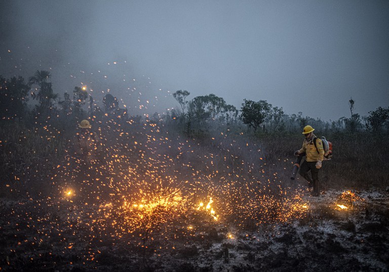 Brigadistas do Prevfogo/Ibama e ICMBio combatem incêndios florestais na Terra Indígena Tenharim/Marmelos, no Amazonas. Foto: Mayangdi Inzaulgarat/Ibama