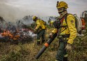 Brigadistas do PrevFogo/Ibama combatem incêndios florestais em Corumbá (MS). Foto: Marcelo Camargo/Agência Brasil