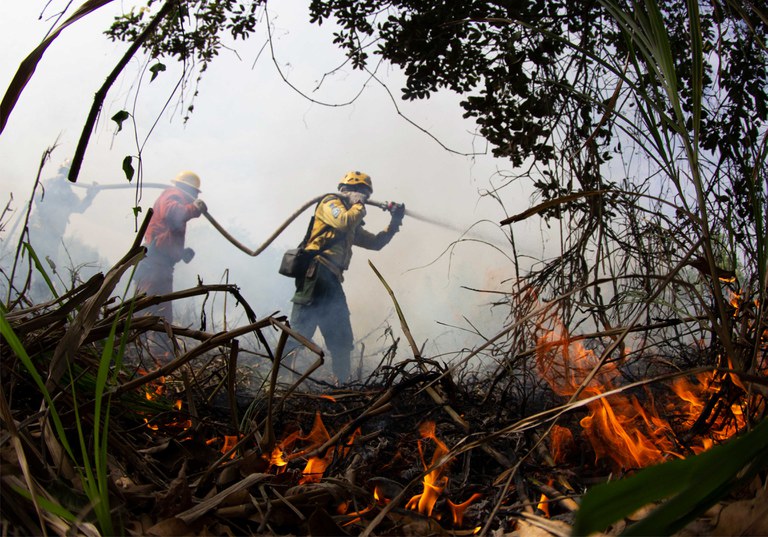 Brigadistas do Prevfogo/Ibama combatem incêndios na região de Corumbá/MS. Foto: Fernando Donasci/MMA