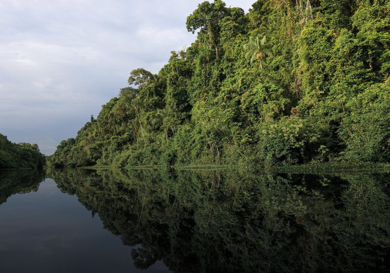 Diálogos Amazônicos - Site Crop.jpg