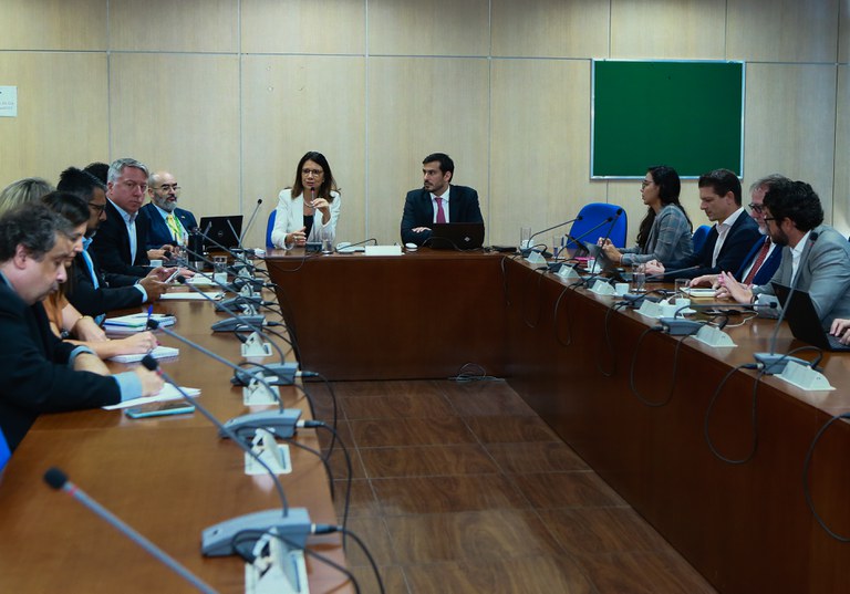 Reunião de MMA e MME com representantes do setor energético. Foto: Tauan Alencar/MME