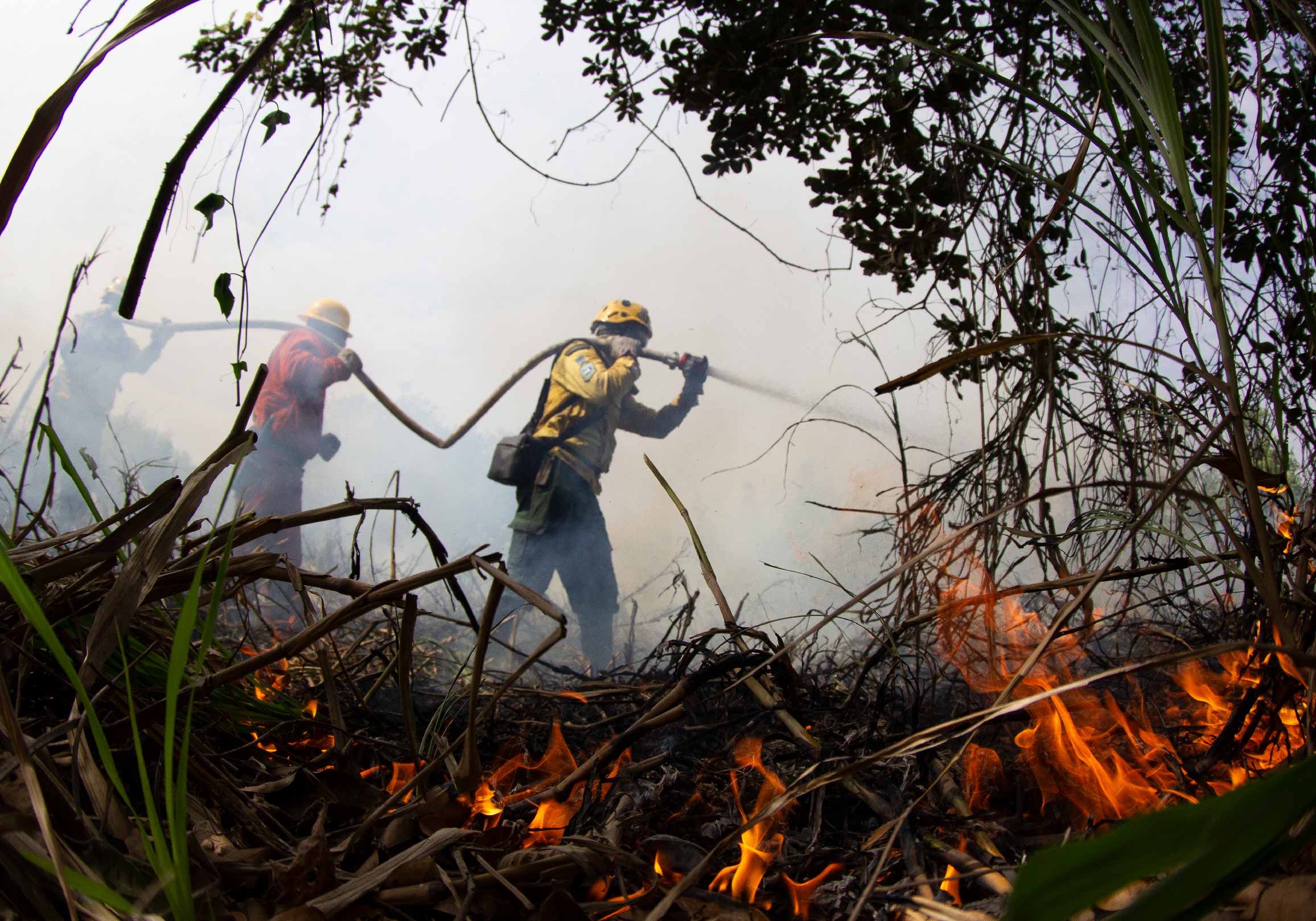 Condições climáticas que intensificaram os incêndios tornaram-se de quatro a cinco vezes mais prováveis