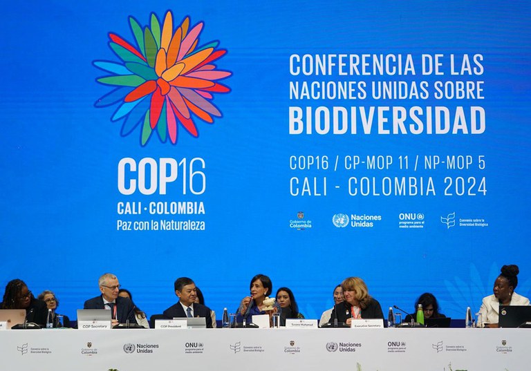 Abertura da plenária da COP16 da Biodiversidade, em Cali, na Colômbia. Foto: ONU Biodiversidade