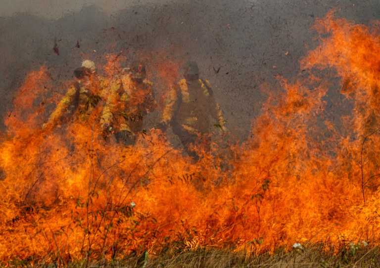 Brigadas do PrevFogo/Ibama realizam manejo do fogo. Foto: Joédson Alves/Agência Brasil