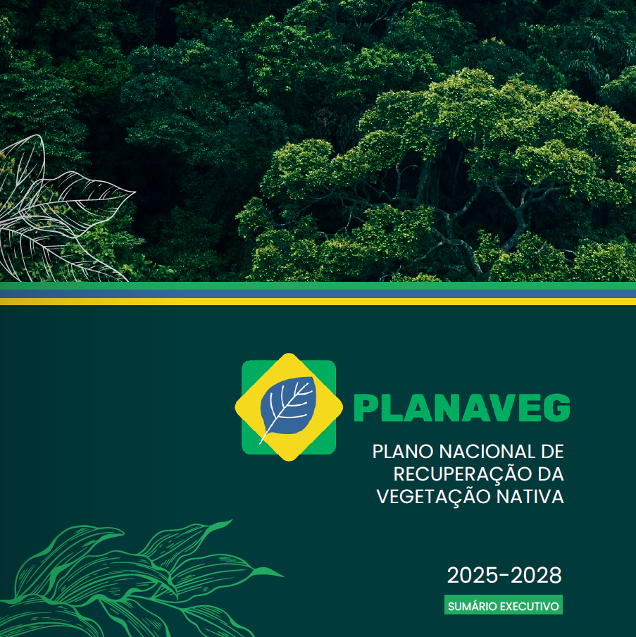 Planaveg - Plano Nacional de Recuperação da Vegetação Nativa - 2025 a 2028 - Sumário Executivo