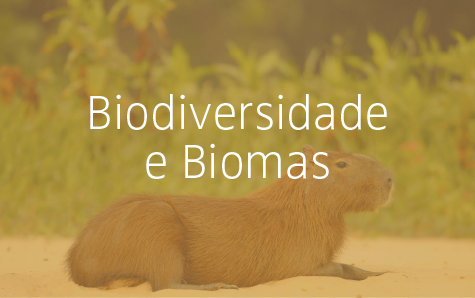 Biodiversidade e Biomas