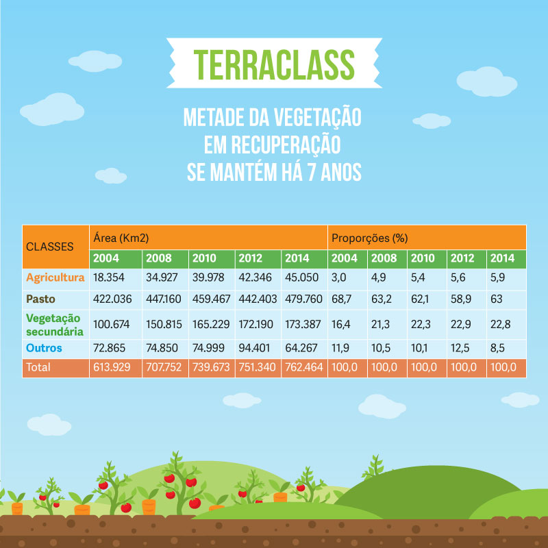 TerraClass: Retrato Da Regeneração Florestal — Ministério Do Meio ...