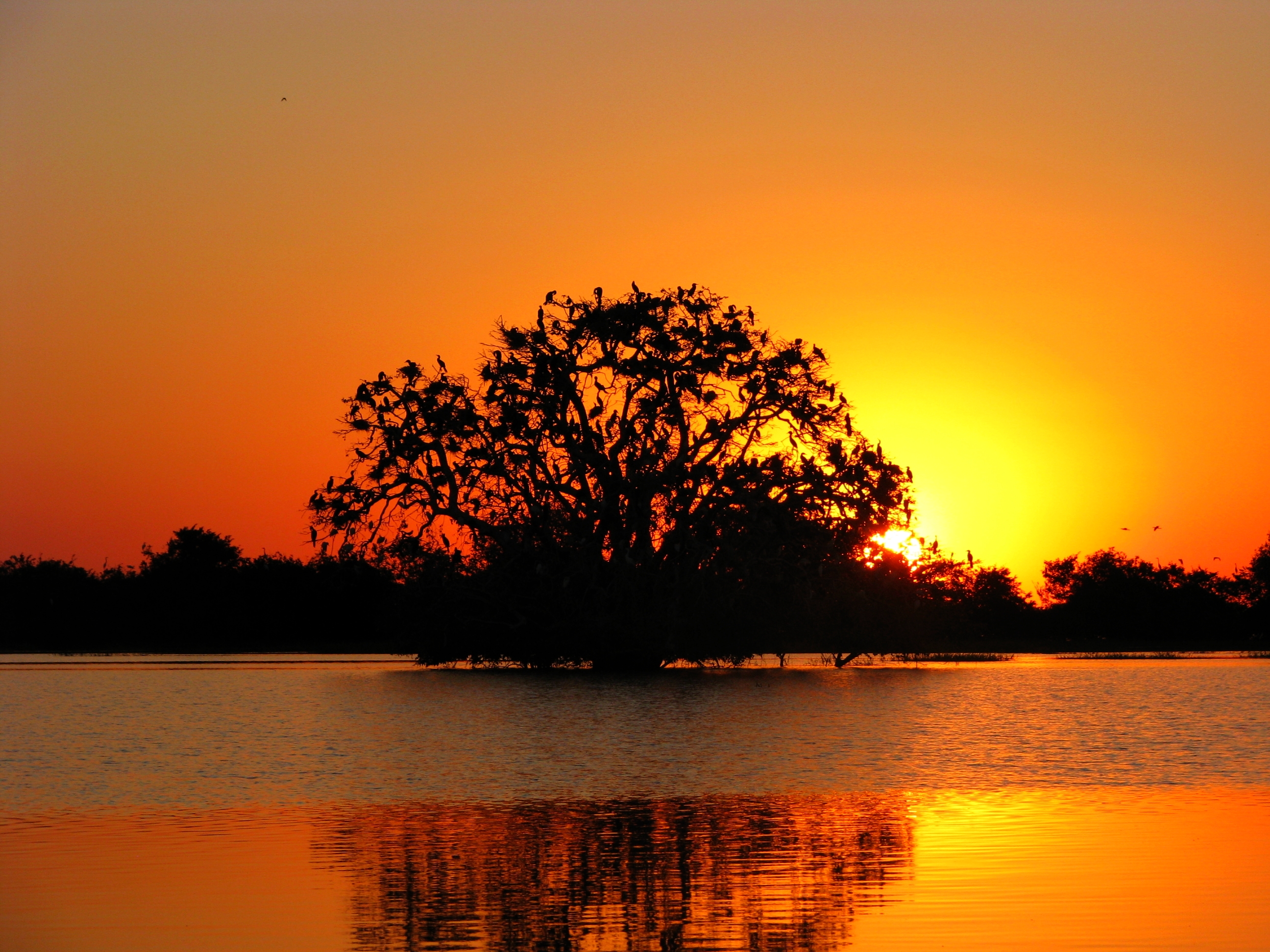 Parque Nacional do Pantanal