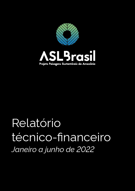 Relatório técnico-financeiro: Janeiro a Junho de 2022