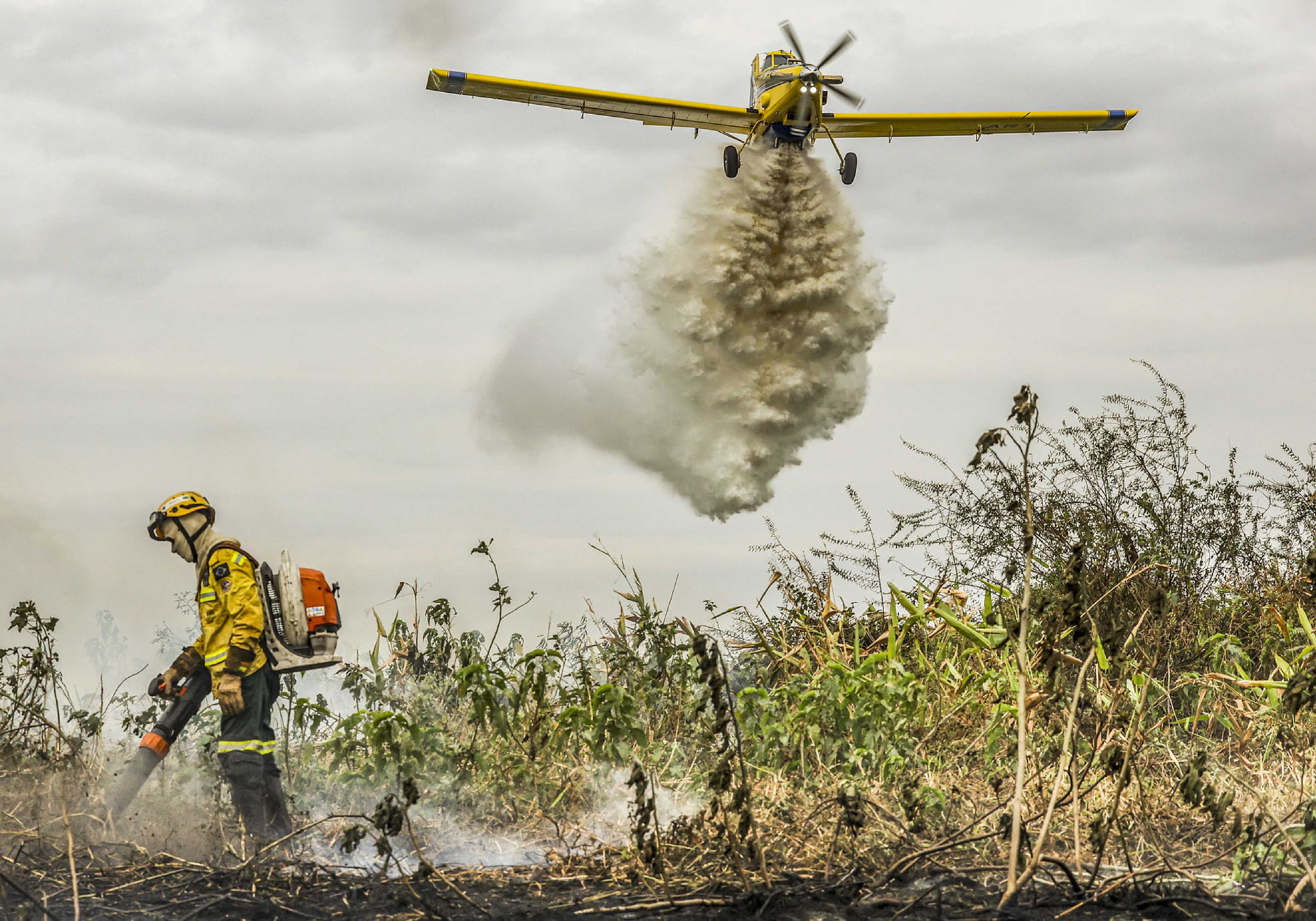 Ação conjunta apaga 55% dos incêndios no Pantanal