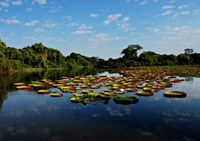 Convenção Intergovernamental de Ramsar sobre áreas úmidas completa 50 anos