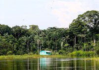 Alertas de desmatamento na Amazônia em novembro é o menor dos últimos seis anos