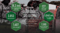Lançada a segunda edição da Operação Guardiões do Bioma com foco no combate a queimadas e incêndios florestais