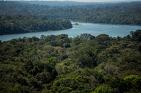 Governo Federal proíbe queimadas em todo o Brasil por 120 dias