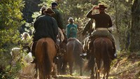 Governo Federal promove audiência pública para concessão da Floresta Nacional de São Francisco de Paula (RS)