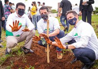Ministério do Meio Ambiente participa de ação que bate recorde mundial em plantio de árvores
