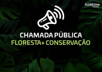 MMA e PNUD abrem chamada pública para potenciais beneficiários do Projeto Floresta+ Amazônia