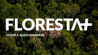 MMA institui programa Floresta+ para remunerar quem protege a mata nativa