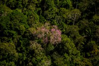 MMA participa da 6ª reunião ministerial do meio ambiente, membros dos BRICS