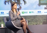 Painel na COP26 discute como leilões e privatizações podem impulsionar o desenvolvimento sustentável no Brasil