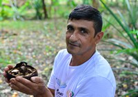 Produtores que protegem florestas já podem se cadastrar na plataforma do programa Floresta+ para solicitar pagamento por serviços ambientais