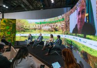 Floresta+ atrai interesse do mercado global de carbono no Brasil
