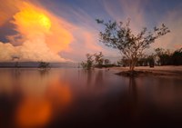 Projeto Paisagens Sustentáveis da Amazônia aprova plano de mais de R$ 47 milhões