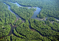 Representantes do Ministério do Meio Ambiente defendem empregos verdes e integração entre órgãos para combater desmatamento ilegal