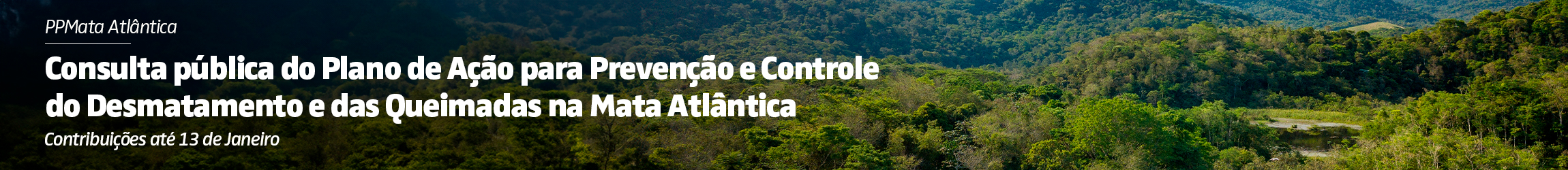 Plano de Ação para Prevenção e Controle do Desmatamento e das Queimadas na Mata Atlântica (PPMata Atlântica) - Contribuições até 13 de janeiro